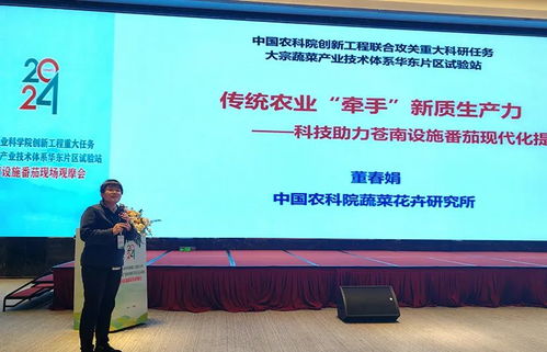 科技賦能，降本增效 中國農(nóng)科院助力設(shè)施番茄產(chǎn)業(yè)變革
